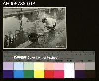 藏品(日治台灣所見在路旁洗濯明信片)的圖片